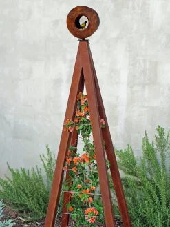 Bird Cafe + Akoris Garden Tuteur Sr.