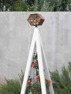 Bee Bungalow + Akoris Garden Tuteur Sr. -Garden Supplies Store 8600532 03V tif