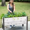 Self-Watering Eco-Stained Elevated Planter Box, 2' X 4'