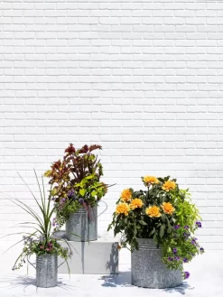Metal Bucket Planters -Garden Supplies Store 8609085 0852 tif