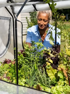 VegTrug®Patio Garden Greenhouse Cover Kit -Garden Supplies Store 8610172 1256