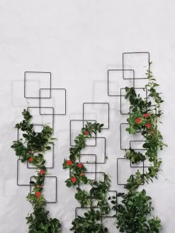 Building Blocks Wall Trellis, 45" -Garden Supplies Store 8610183 5811 tif