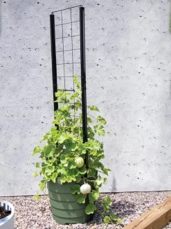 Gardener’s Victory Self-Watering Planter With Vine Trellis -Garden Supplies Store 8610238 15487 tif 1