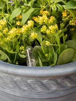 Adjustable Self-Watering Insert For Pots And Planters -Garden Supplies Store 8610250 0010 tif