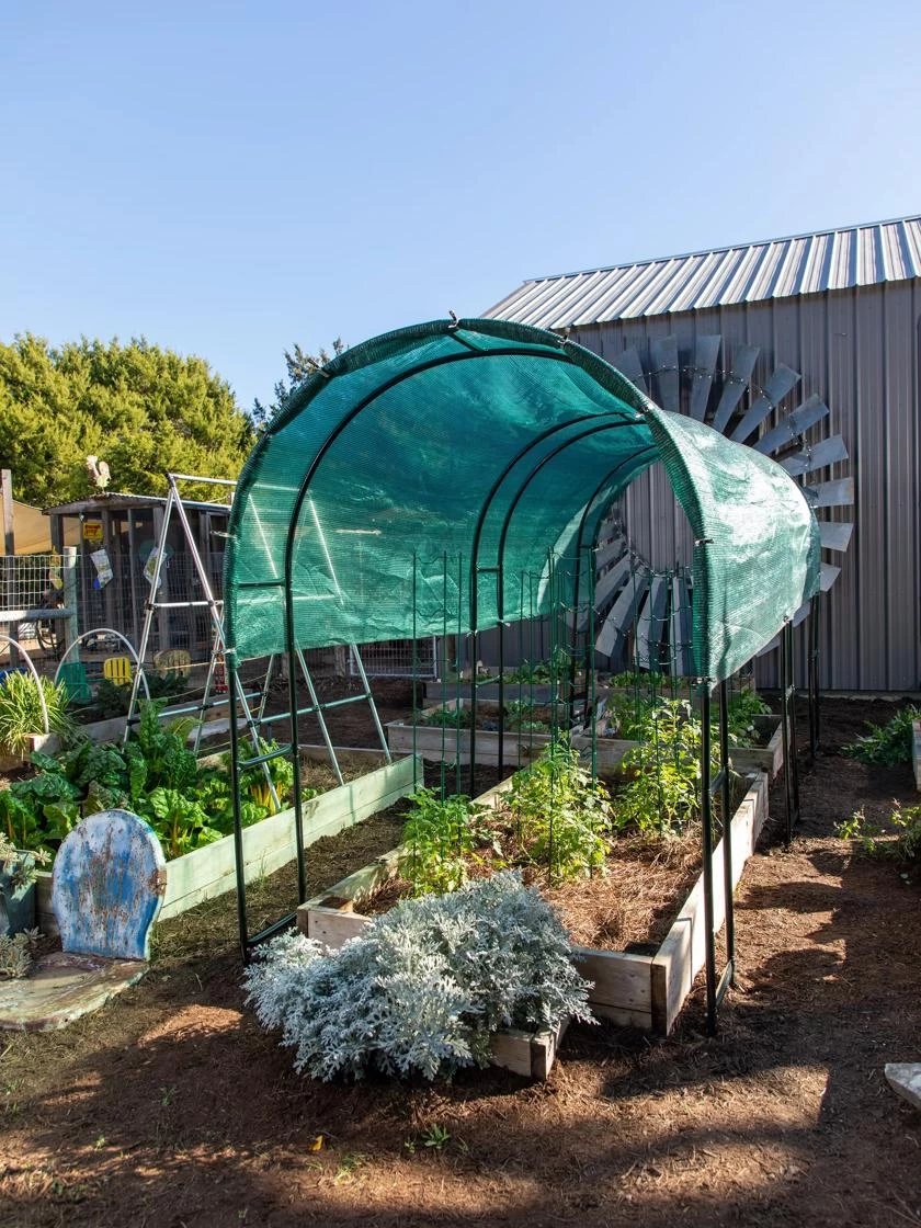 Maxi Garden Hoops With Clips 2 Maxi Garden Hoops With Clips - Image 2