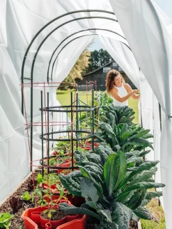 Maxi Garden Hoops With Clips 11 Maxi Garden Hoops With Clips -Garden Supplies Store 8610373 377 tif