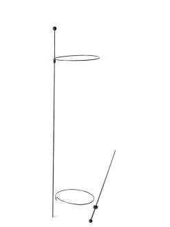 Peacock Mini Plant Support Rings 8", Set Of 2 13 Peacock Mini Plant Support Rings 8", Set Of 2 -Garden Supplies Store 8610388 9565 tif