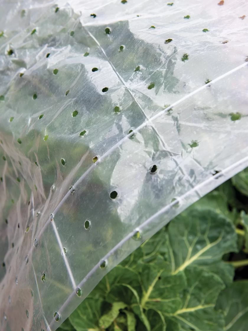 Ventilated Row Cover, 6.5' X 32.5' 1 Ventilated Row Cover, 6.5' X 32.5'