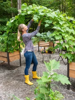 2’ X 8’ Arch Trellis For Planter Boxes -Garden Supplies Store 8610798 050 tif