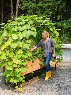 Garden Supplies Store -Garden Supplies Store 8610798 062 tif