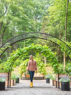 2’ X 8’ Arch Trellis For Planter Boxes -Garden Supplies Store 8610798 071 tif