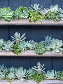 3-Tier Vertical Wall Planter, 3' -Garden Supplies Store 8611013 055 tif