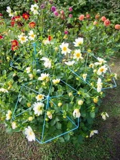 New Arrival -Garden Supplies Store 8611129 004 tif