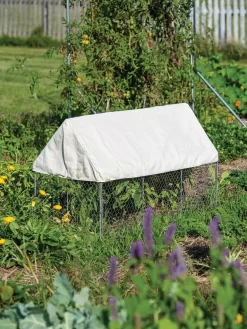 Crop Coop Covers Set -Garden Supplies Store 8611698 004 tif
