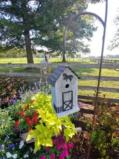 Summitville Stable Bird House