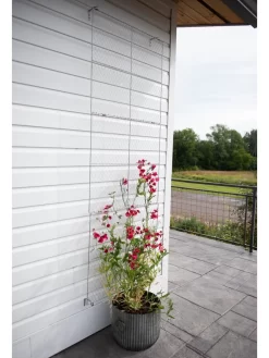 Chicken Wire Wall Trellis -Garden Supplies Store 8612717 0081