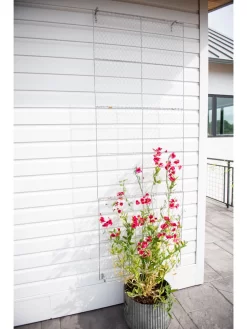 Chicken Wire Wall Trellis -Garden Supplies Store 8612717 0093