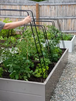 Zenith Garden Hoops, Set Of 4