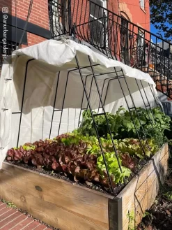 Zenith Garden Hoops, Set Of 4 13 Zenith Garden Hoops, Set Of 4 -Garden Supplies Store 8612816 01CUST 1