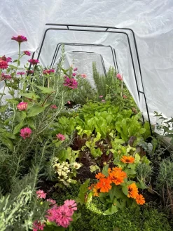 Zenith Garden Hoops, Set Of 4 12 Zenith Garden Hoops, Set Of 4 -Garden Supplies Store 8612816 01TEST