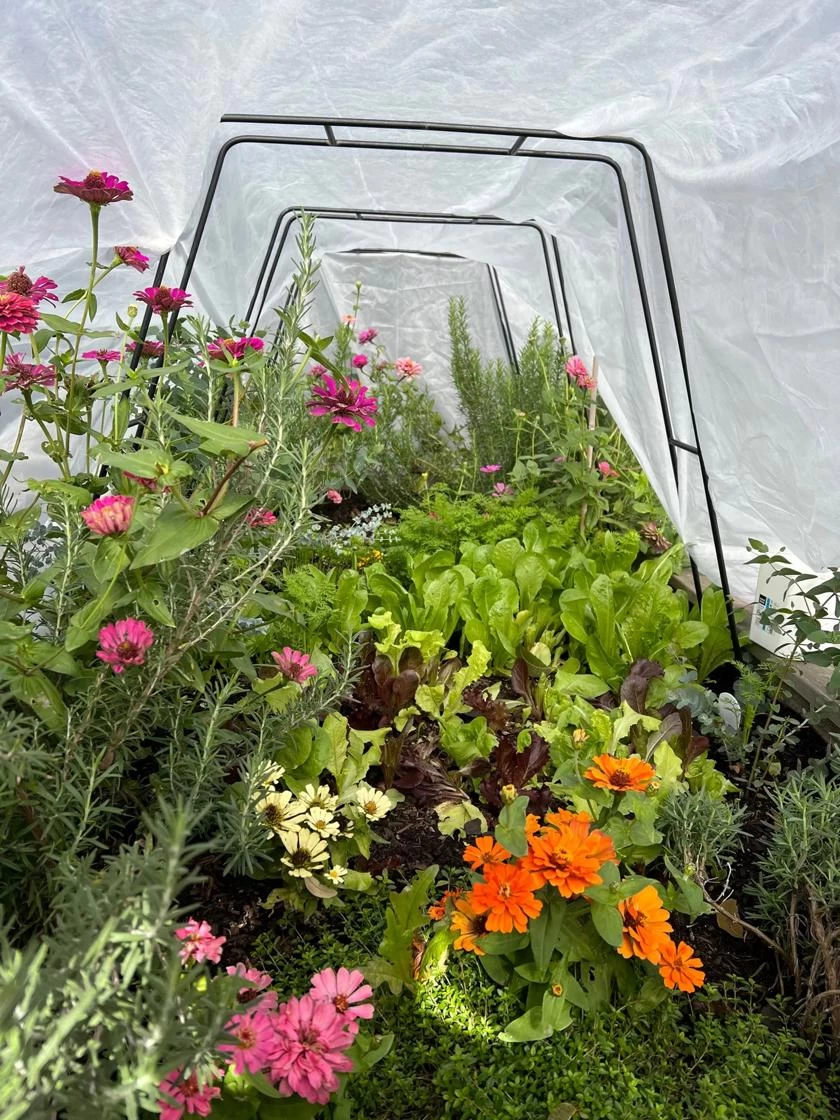 Zenith Garden Hoops, Set Of 4 5 Zenith Garden Hoops, Set Of 4 - Image 5