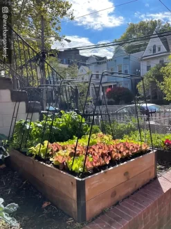 Zenith Garden Hoops, Set Of 4 14 Zenith Garden Hoops, Set Of 4 -Garden Supplies Store 8612816 02CUST