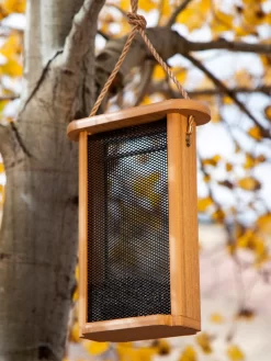 Spruce Creek Tall Finch Feeder