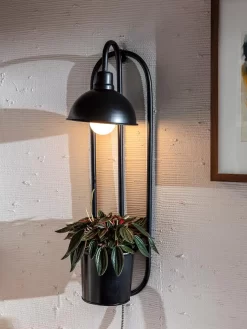 Kira Grow Light Hanging Planter