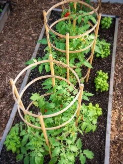 Bamboo Tomato Cages, Set Of 3 -Garden Supplies Store 8613426 6916