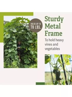 Titan Squash Tunnel -Garden Supplies Store B07932DMCR plantsupport benefits 2