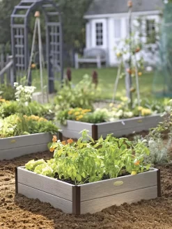 Sustainable Raised Beds